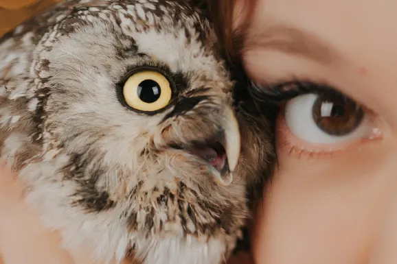 Kazino Lucky Tiger Pagalba